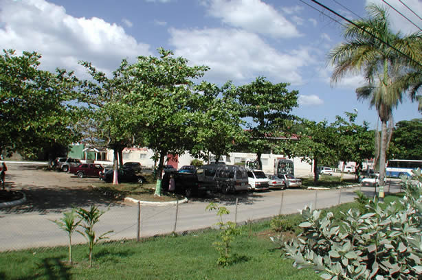 A Photo Walk along Negril's Famous Seven Mile Beach - Negril Travel Guide, Negril Jamaica WI - http://www.negriltravelguide.com - info@negriltravelguide.com...!