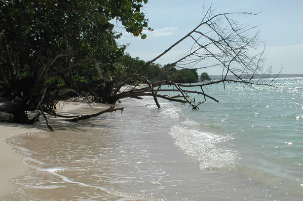 A Photo Walk along Negril's Famous Seven Mile Beach - Negril Travel Guide, Negril Jamaica WI - http://www.negriltravelguide.com - info@negriltravelguide.com...!